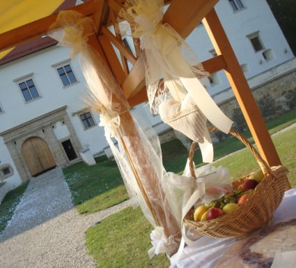 grad negova