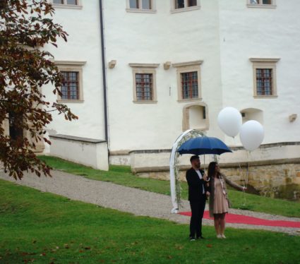 grad negova