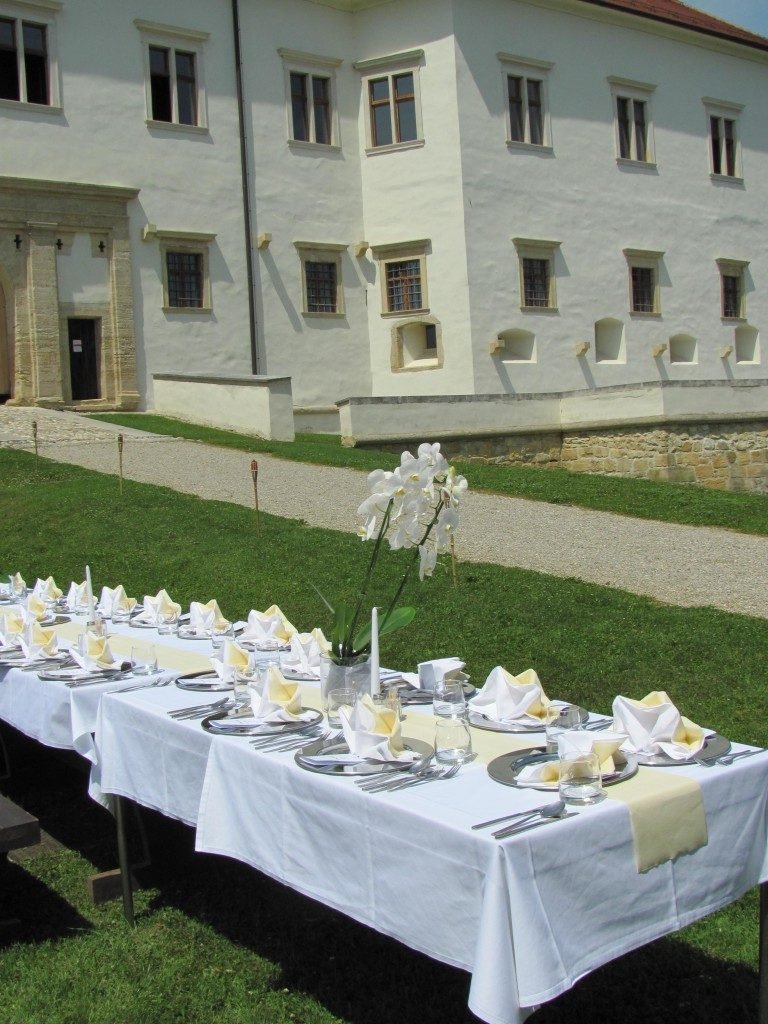 grad negova