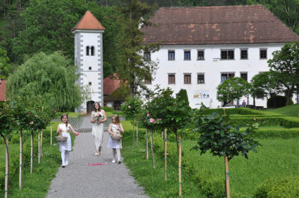 poroka na polhograjski graščini