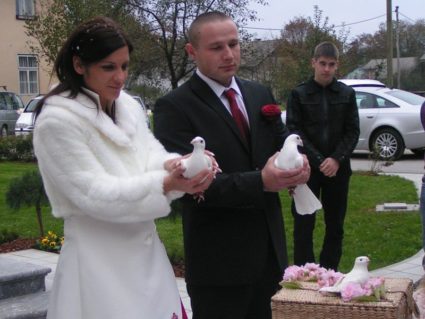 izpust belih golobov