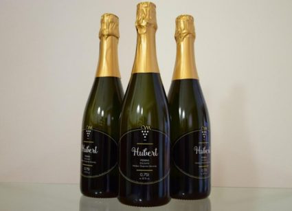 vinogradništvo marin