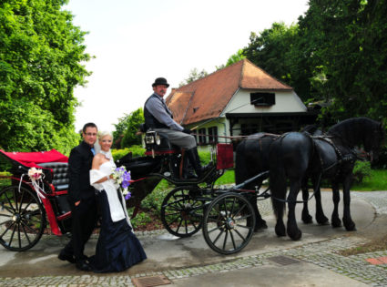 prevoz s kočijo