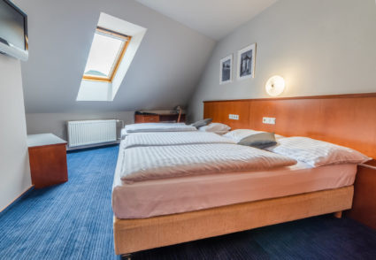 namestitev v hotelu špica laško
