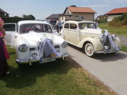 Doživite vožnjo z letnikom 1952 ali 1955 bela limuzina-popolno razmerjo med zunanjosto in razkošjem v notranjosti. Avto,ki bo pritegnila vse poglede ter vaju varno in udobno popelje na vajin najlepši dan. Izbere lahko med: -Mercedes 170DS Leto 1952 (panoramska streha), -Mercedes ponton 180 Leto 1955.