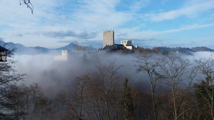 poroka Celje