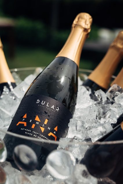Vina Dular