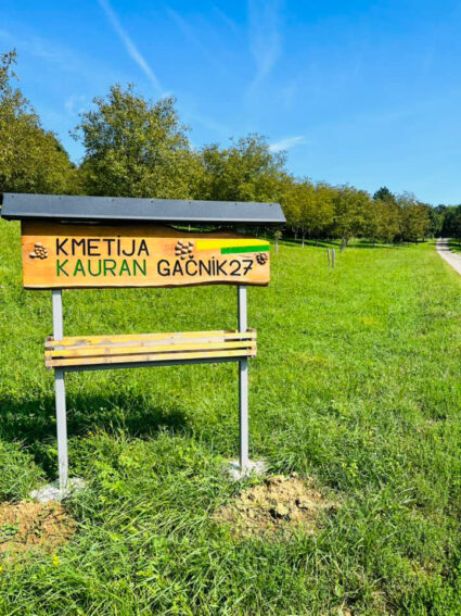 kmetija Kauran