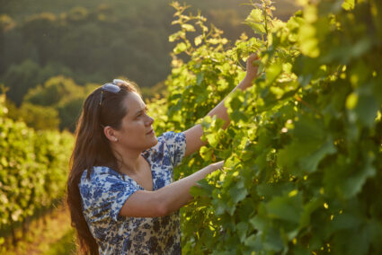 Maro Wine