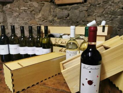 vino na poroki