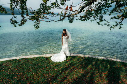 Avenia weddings