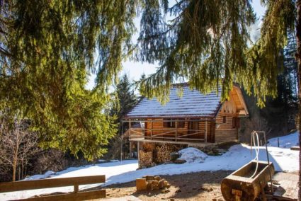 Cottage Planina Forest