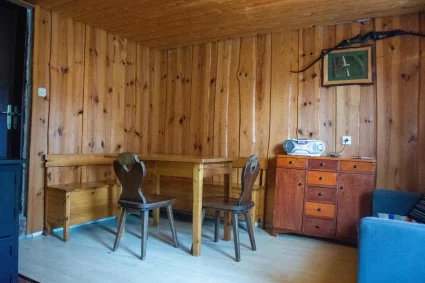 Cottage Planina Forest