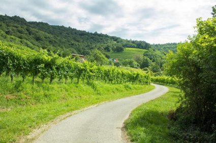 Turistična kmetija Štanfel