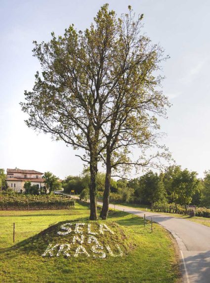 Domačija pri Krčarju