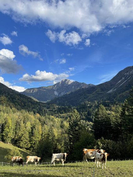 poroka na gorenjskem