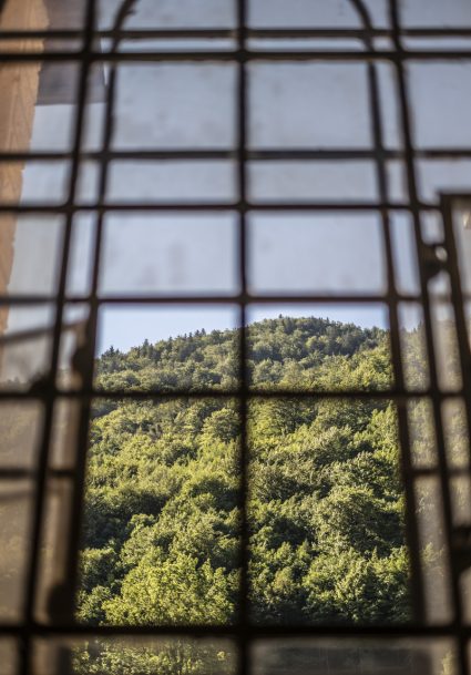 dvorana za poroko Gorenjska