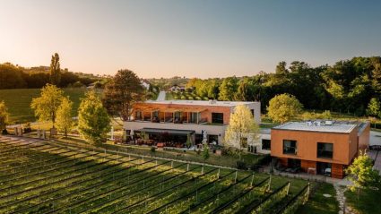 Resort Vinski raj Glavinič