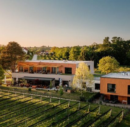 Resort Vinski raj Glavinič