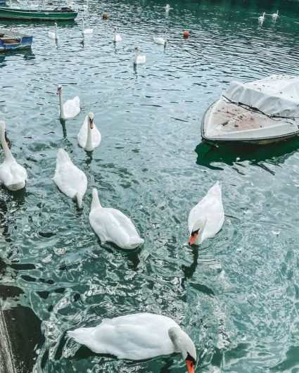 gostišče jezero Zbilje