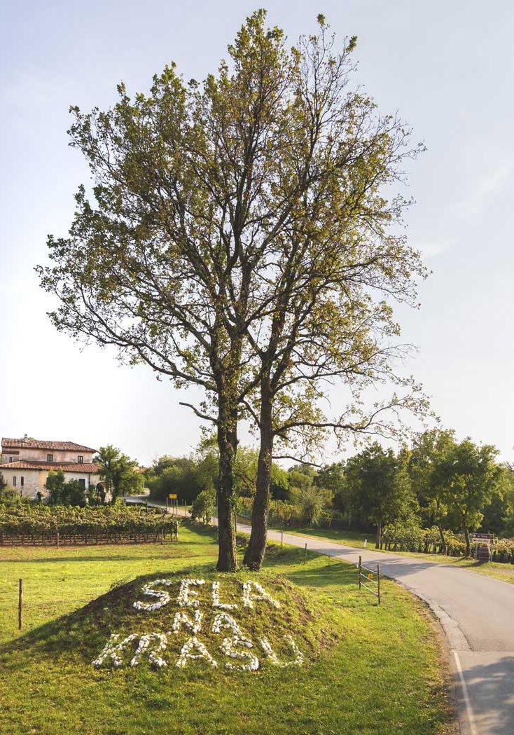 Domačija pri Krčarju
