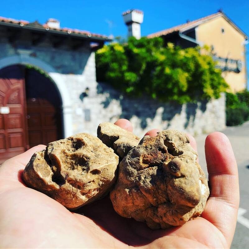 Domačija Šajna