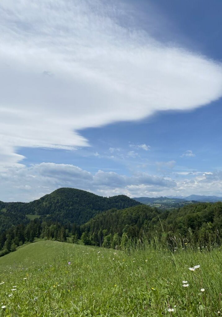 Ekološka kmetija Kogovšek