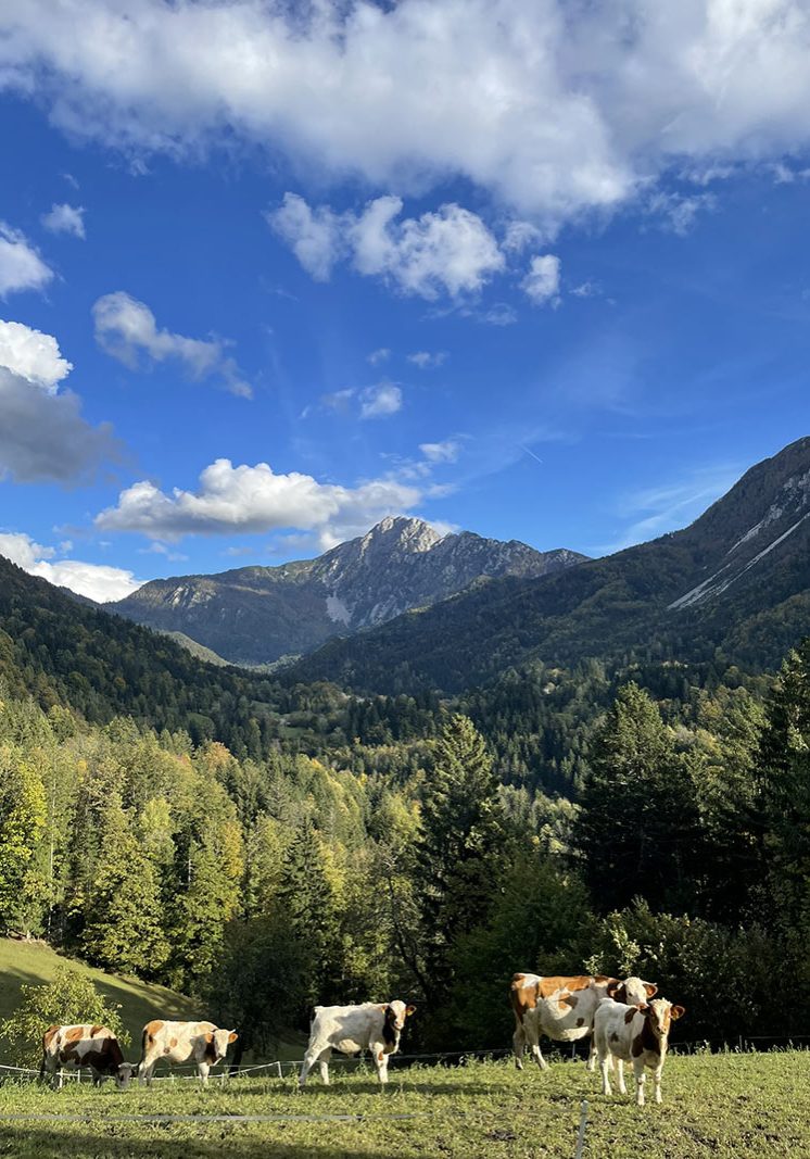 poroka na gorenjskem