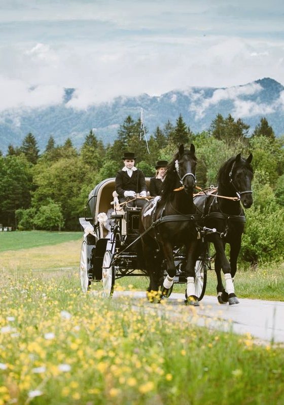 poročni prevoz s kočijo