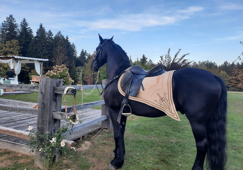 poročni prevoz s kočijo