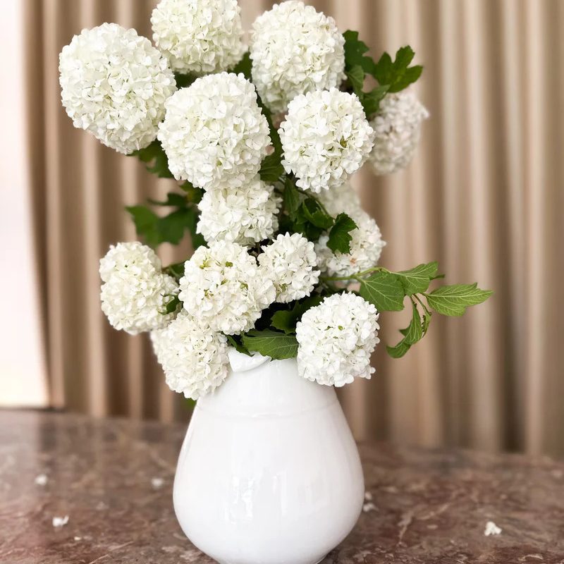 Luxlace - Maja Orehar