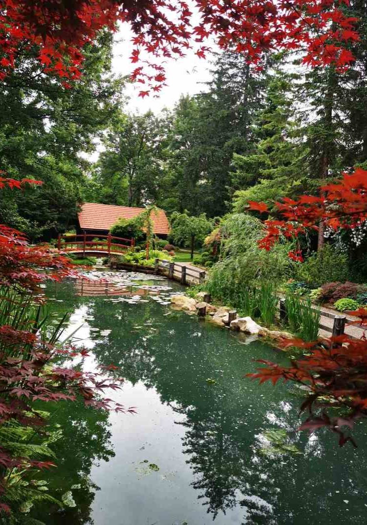 Mozirski gaj - Park cvetja