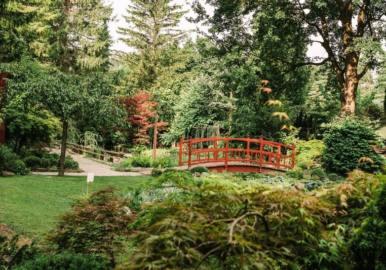Mozirski gaj - Park cvetja