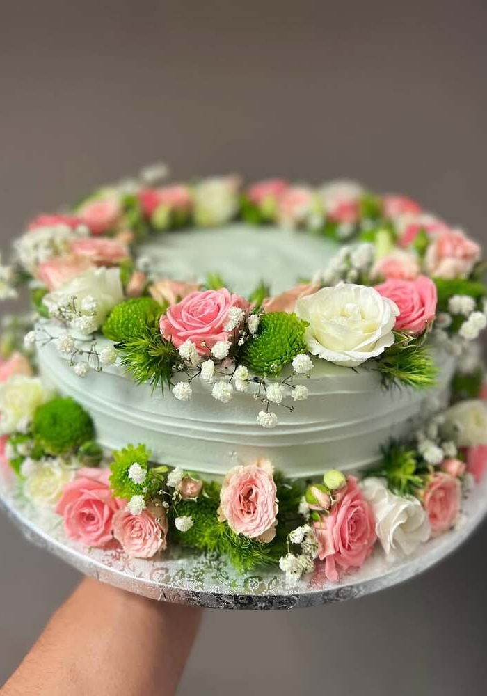 torta obala