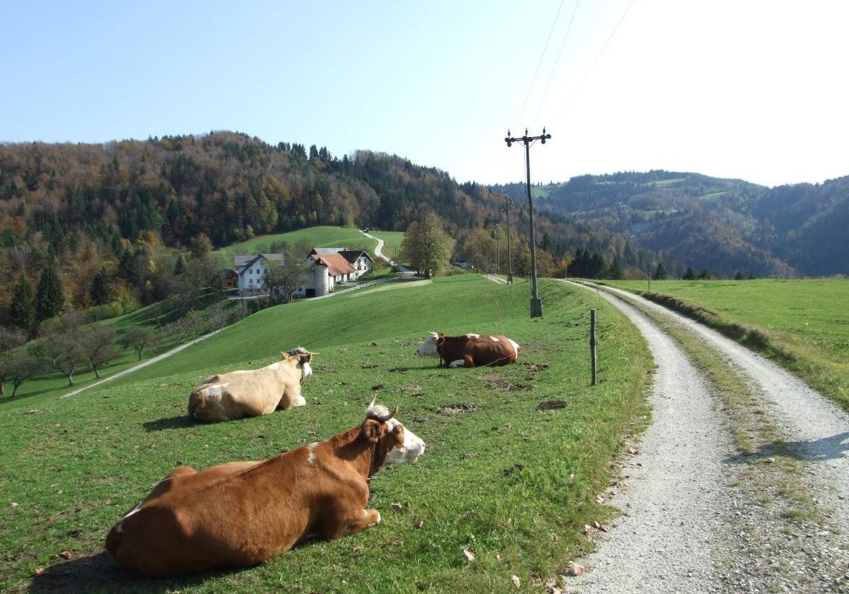 turistična kmetija Ljubica