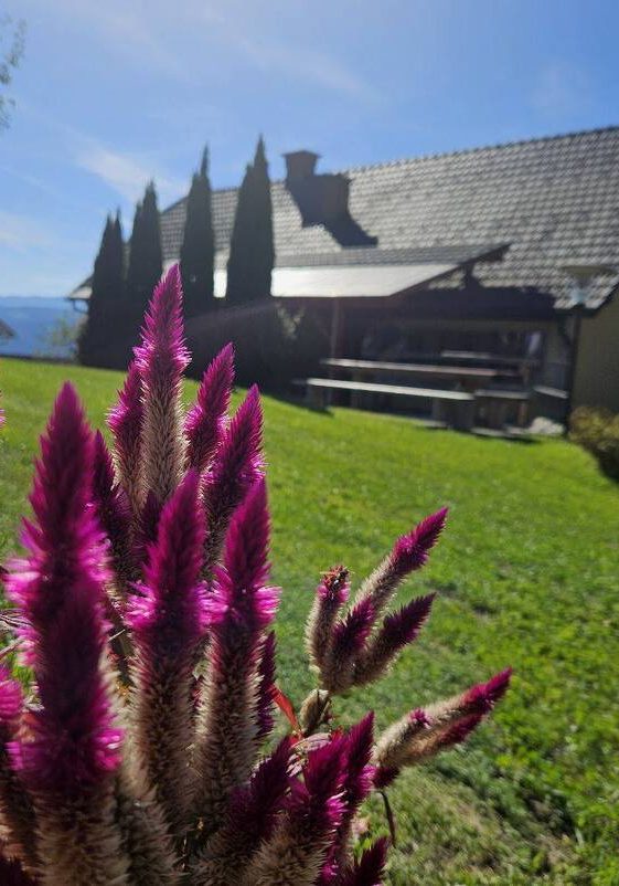 Turistična Kmetija Sušek