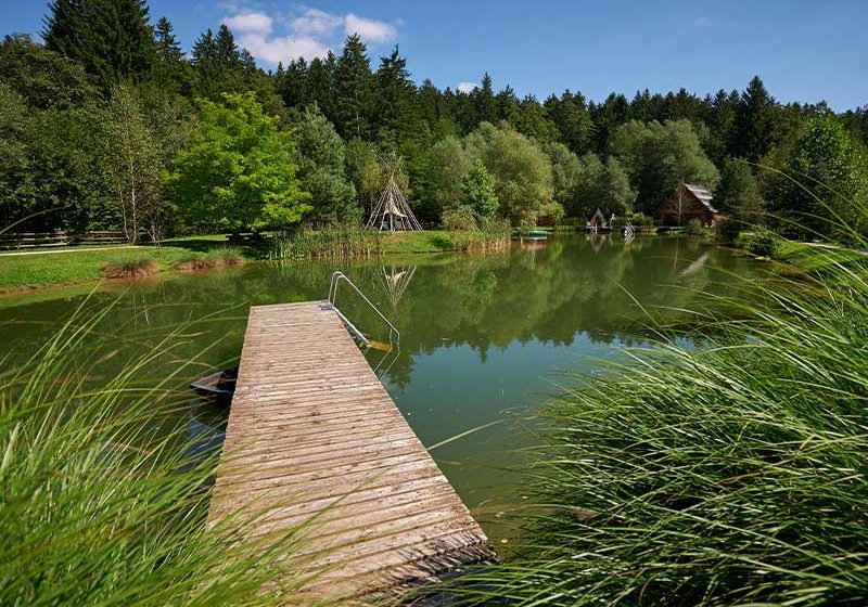 Apartmaji in wellness Korošeč