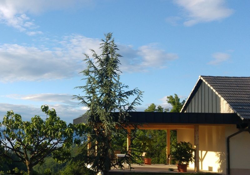 Vina Huba Martinčič