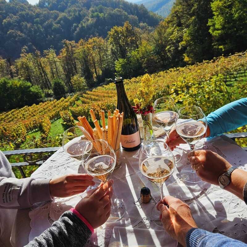 Vina Huba Martinčič