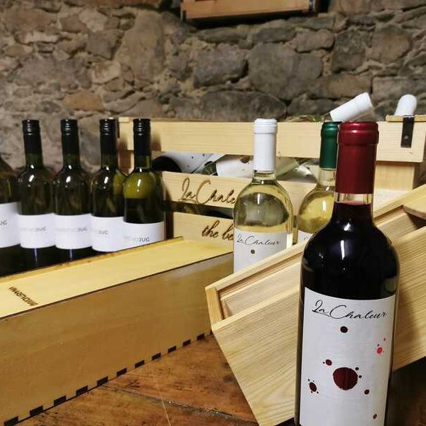 vino na poroki