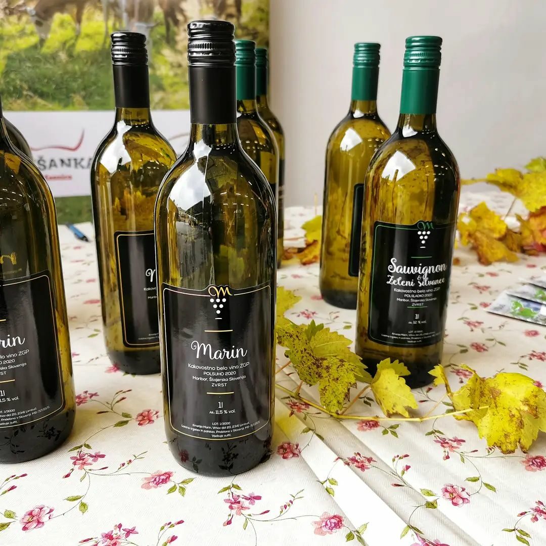 vinogradništvo Marin
