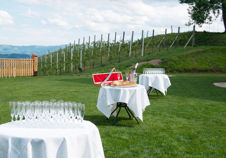 poroka na vinskem dvoru