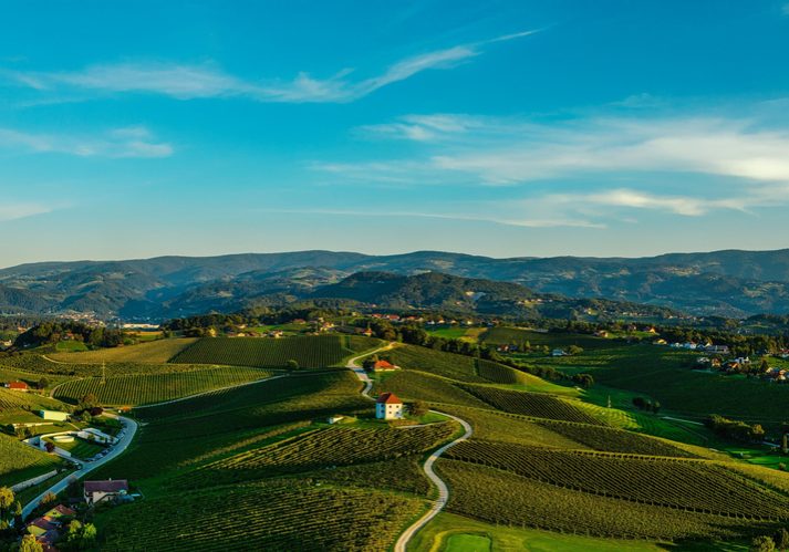 poroka na Zlatem Griču